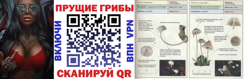 Купить закладки  Камбарка  Галлюциногенные грибы прущие грибы 